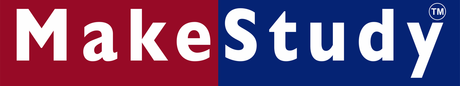 MakeStudy.online Logo