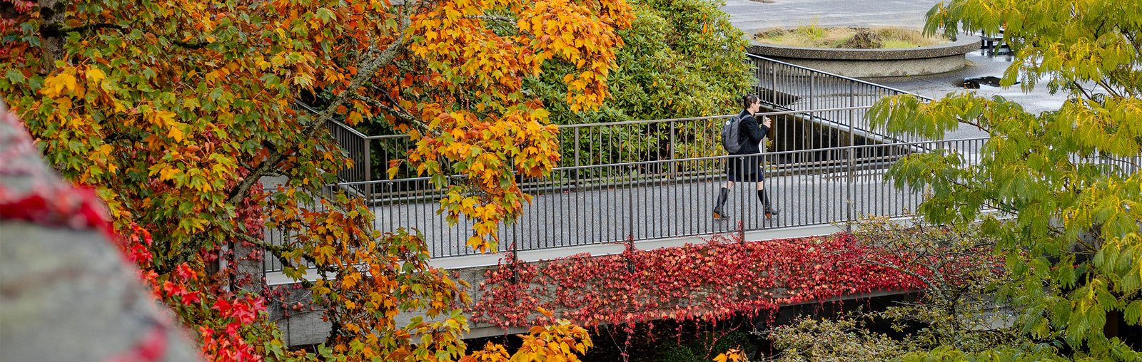 MakeStudy™ Becomes an Official Partner of Seattle Colleges, USA