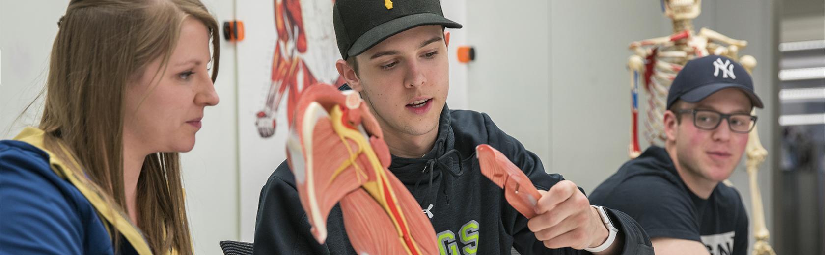 Study KINESIOLOGY in MEDICINE HAT COLLEGE, ALBERTA